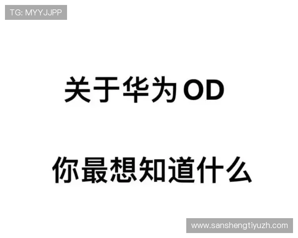 华为od官网最新版本下载及详细使用指南 华为od官网最新版本下载及详细使用指南