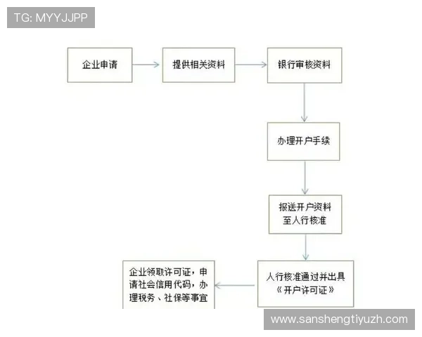 开云开户下载官网注册流程及账号管理技巧全面介绍